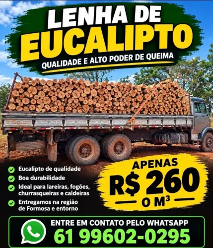 Lenha de eucalipto