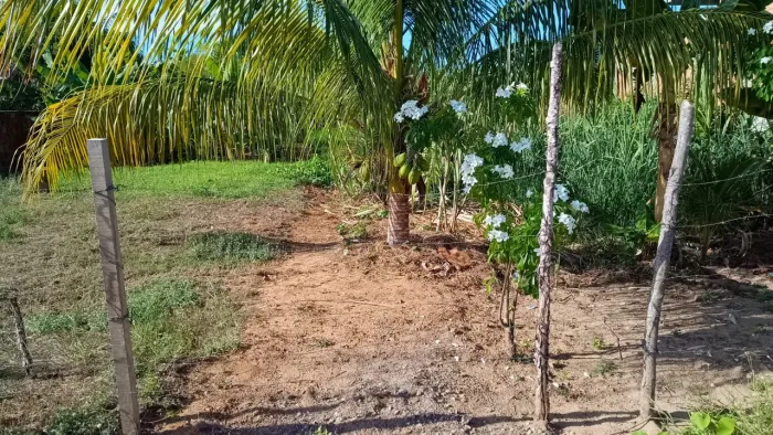 Oportunidade na Ilha da Coroa - Terreno Plano por R$ 50 mil