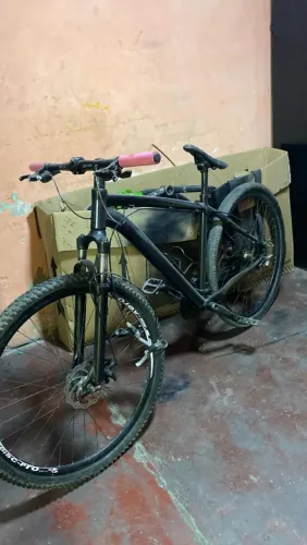 Aro 29
