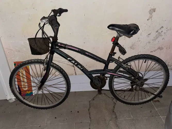 1 bicicleta caloi 100 e 1 bicicleta doll route