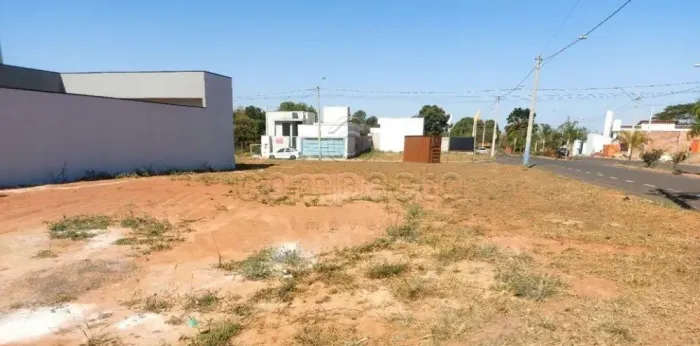 Terreno Padrão em Uchoa