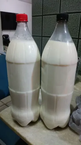 Leite Fresco Direto da Vaca | Para Quem Não Toma Leite de Mercado