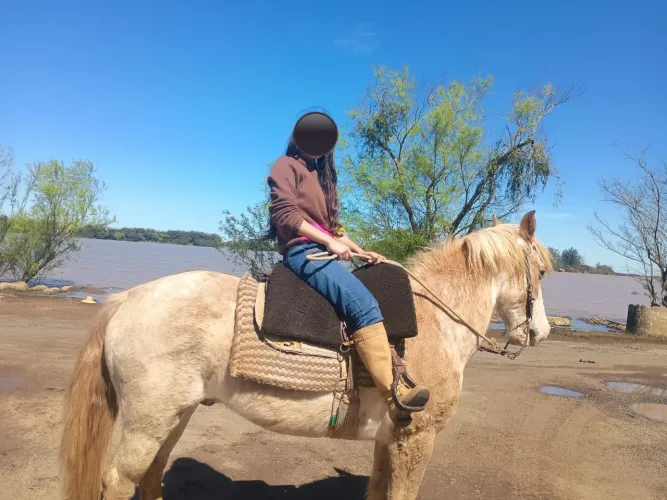 Cavalo