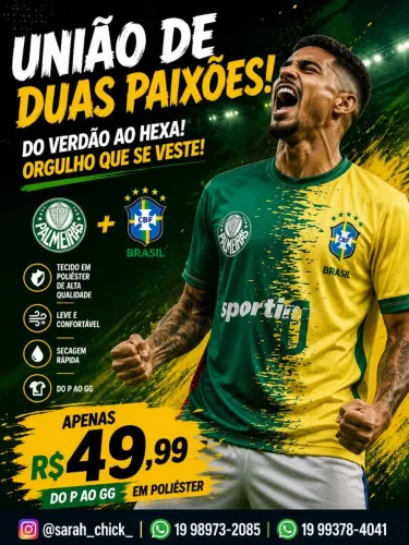 Camisas Palmeiras/Brasil 