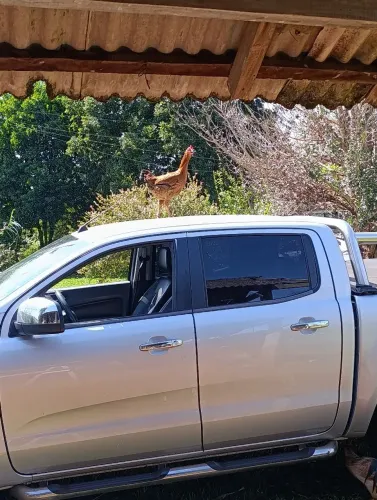 Ford Ranger XLT 3.2 20V 4X4 CD Diesel Aut. 2014