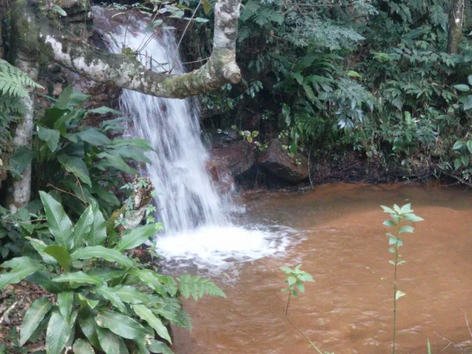 Sítio marechal floriano cachoeira do Zeca 14 henquitares