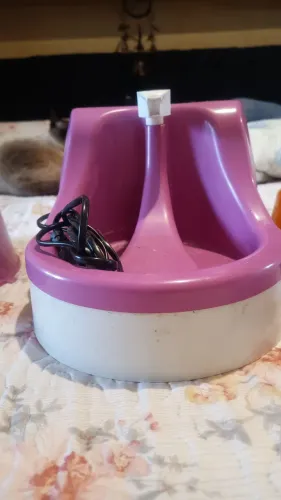 Fonte de água pra gato!