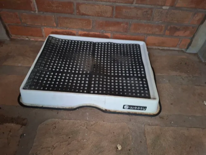 Banheiro Weasy para cachorros