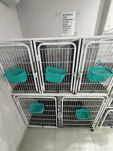 Canil 5 lugares - pet shop / banho e tosa