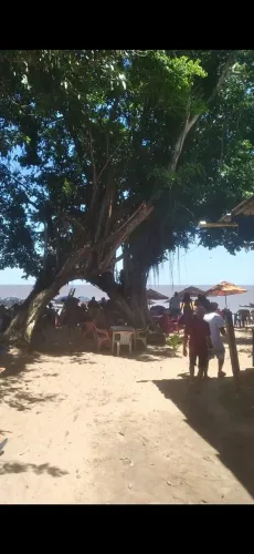 Pousada cotijuba