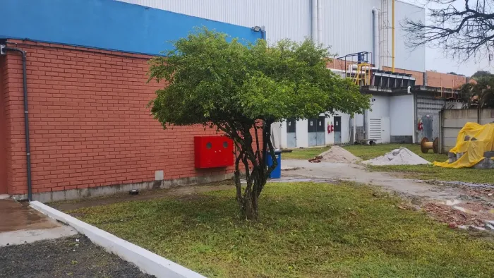 Trabalho com jardinagem e capinação com roçadeira 
