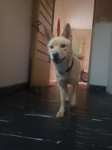 Doação 