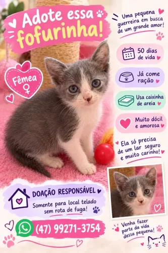 Doação