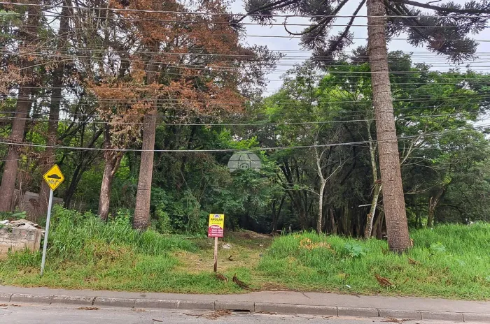 Vendas Terreno Colombo PR
