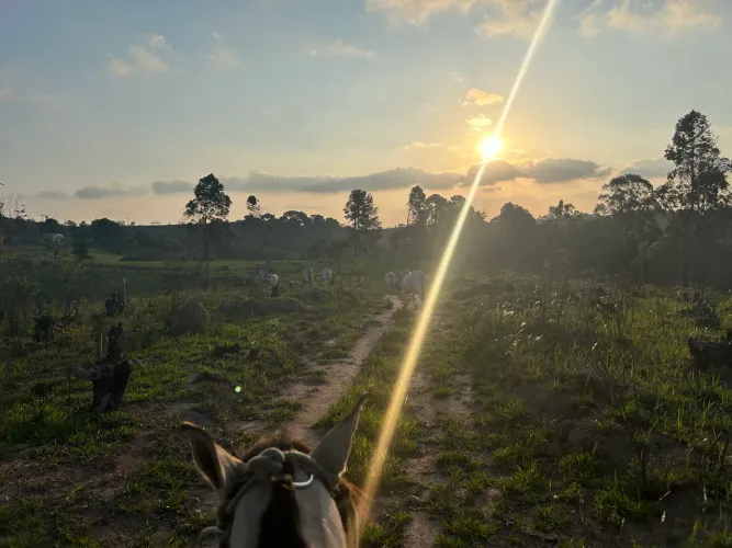 Fazenda em Atibaia 76 alqueires (Campininha).