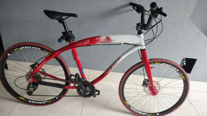 Vnde bicicleta de passeio 