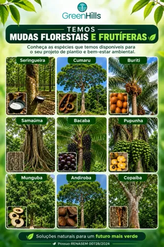Mudas florestais e frutíferas 
