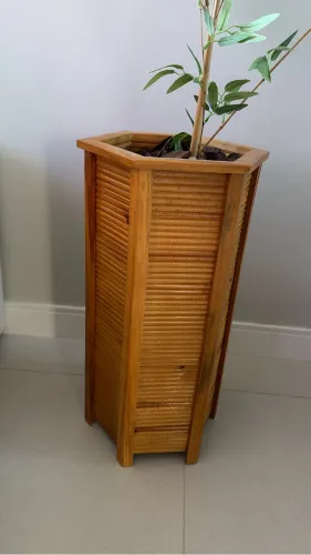 Vaso de planta