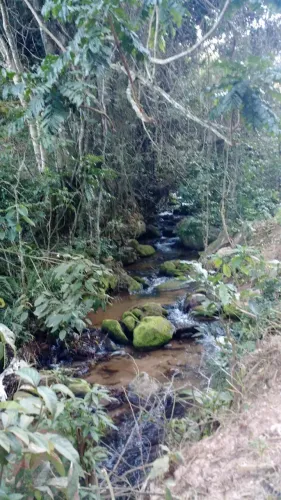 Área Potencial para Crédito de Carbono e Reserva Legal 35,25 ha Brazópolis - MG