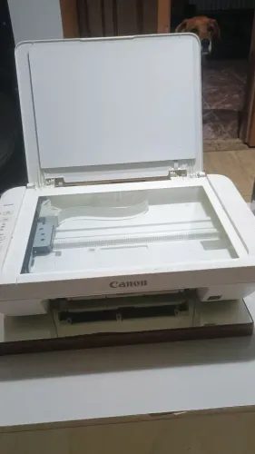 Vendo ou troco 100 pra ir embora .
