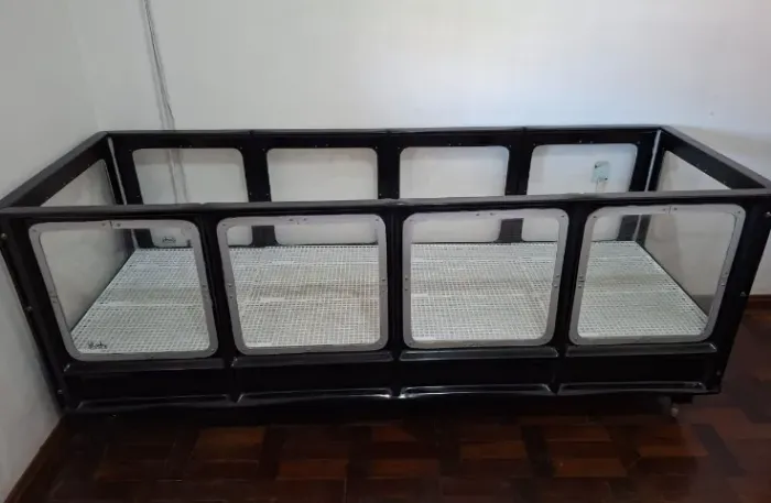 Berçário / Maternidade para Cães