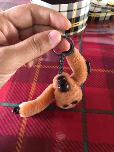 Macaco laranja da kipling