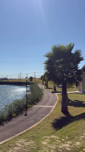 Terreno Residencial Coliseu