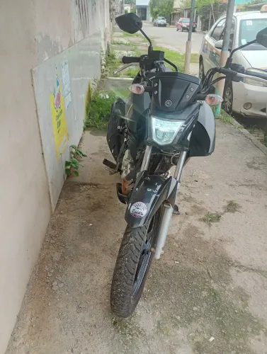 Sem novo