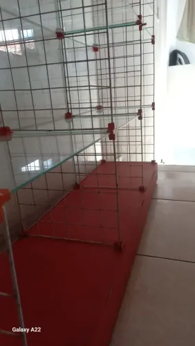 Vitrine expositora de vidro