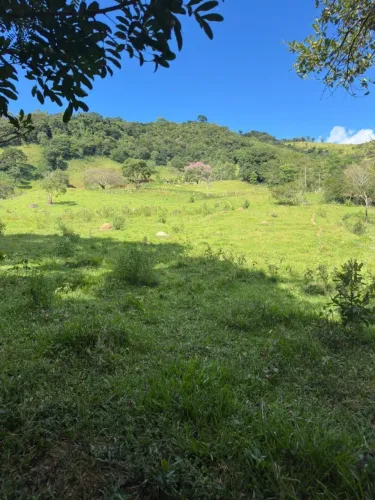 Chácara em Paraisópolis 1 Alqueire c/ Casa e 2 minas d'agua