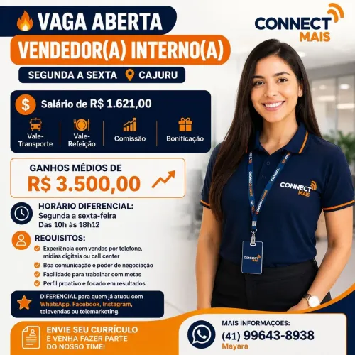Vendedor interno segunda a sexta.
