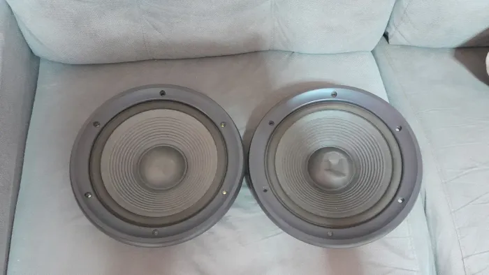 Par de alto falante Technics 10 polegadas