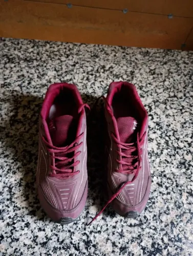 Tenis