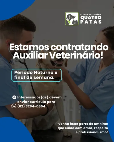 Vaga Para Auxiliar Veterinário 