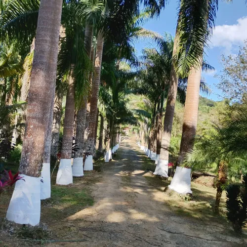 SITIO :VENDA 249,000,00( documentação: Incra,car, ITR )