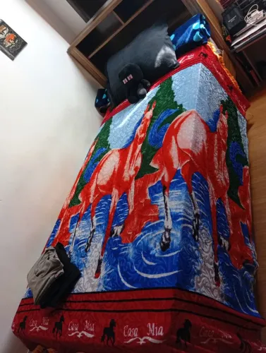 Vendo cama com auxiliar e baú na cabeceira