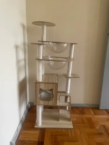 Torre Arranhador Gato Com Capsula E Brinquedo Luxuoso