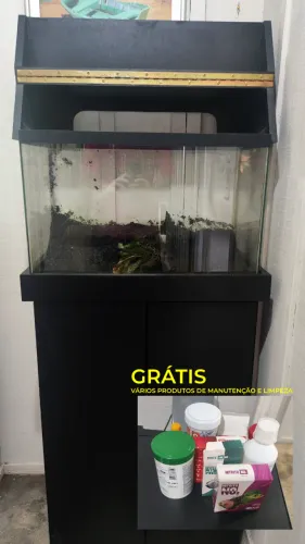 Aquário com bancada