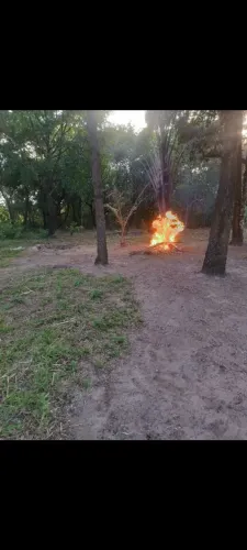 Terreno em Salvaterra