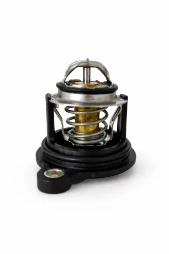Valvula Termostatica Ford Ka 1.0