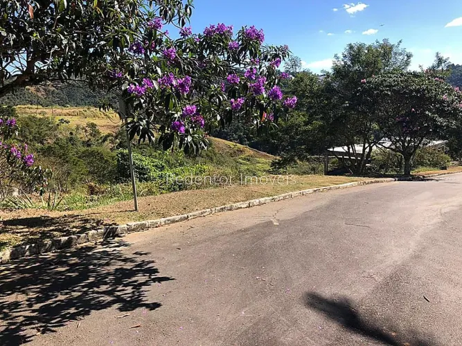 Lote / Terreno - Salvaterra