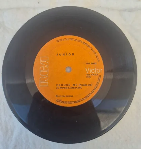 Compacto Vinil 7" Junior - Excuse Me / Perdoa-me (1973) - RCA - Sem Capa
