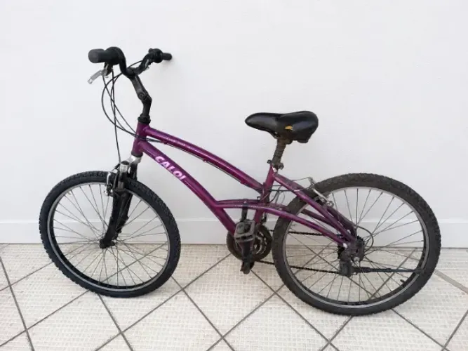 Bicicleta Usada