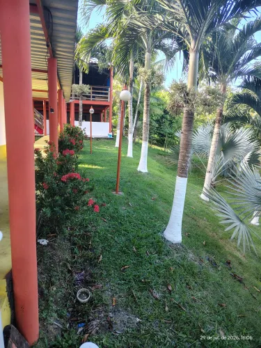 Vendo sítio margem do Rio negro em frente a terra nova