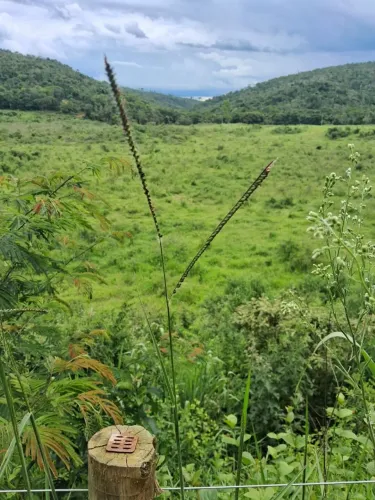 Fazenda em Almenara MG 1239 hectares.