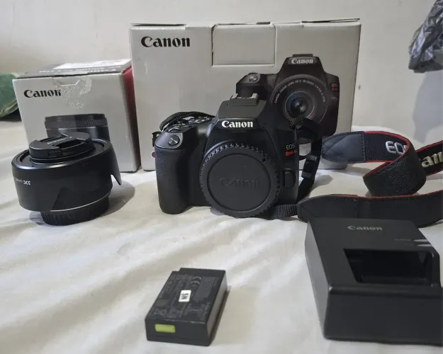 Canon sl3 com lente 50mm 1.8 