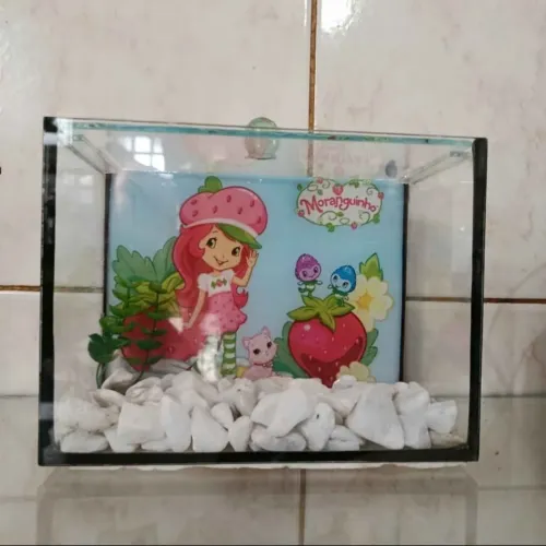 Aquário Beteira Moranguinho