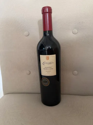 Vinho fino de Mendonza safra 2015