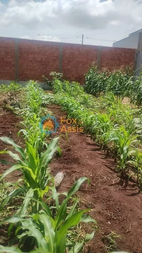 Terreno á venda Jardim Terramérica.