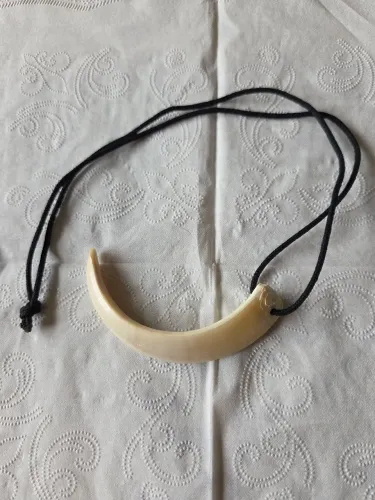 DENTE DE JAVALI OU CINGHIALE , ITALIANO , NATURAL , 9 CM , VERDADEIRO !